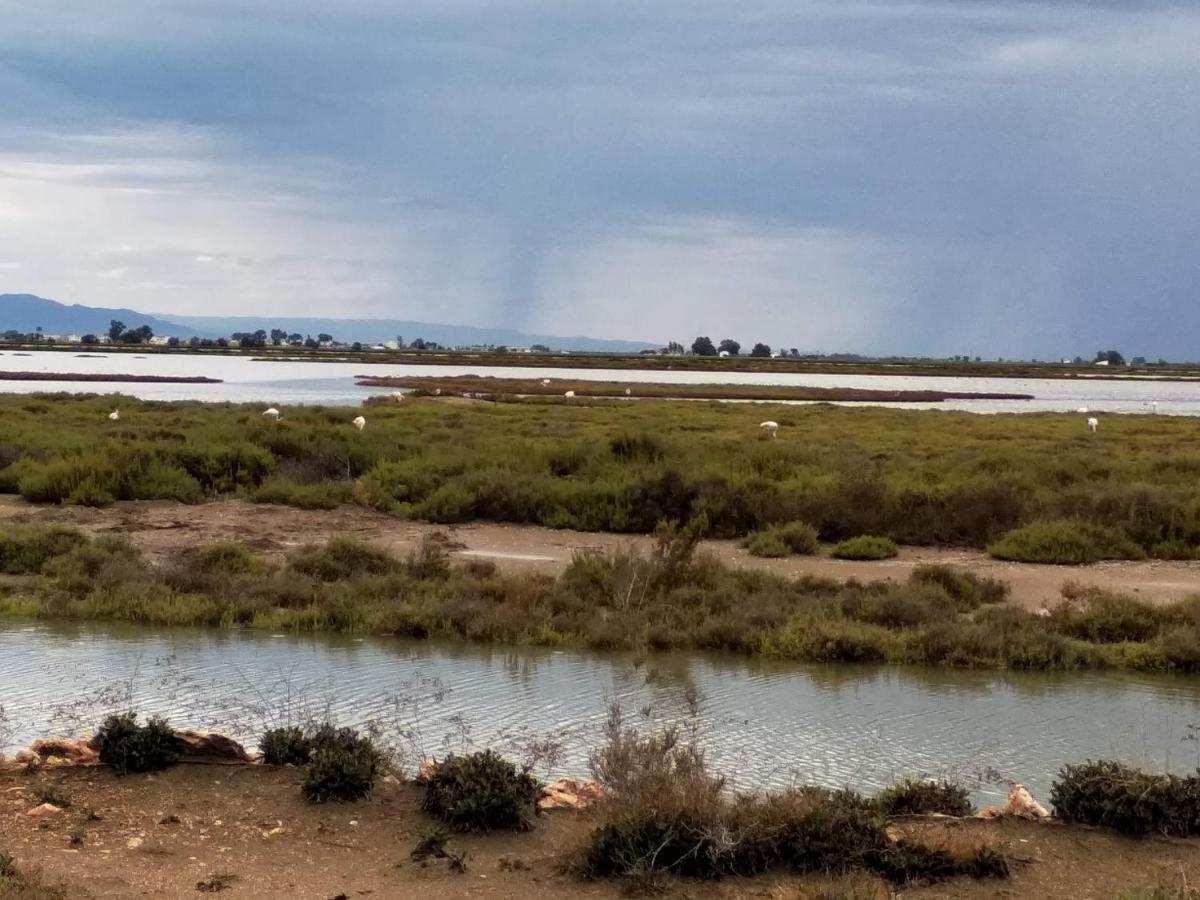 Gelum Delta Del Ebro