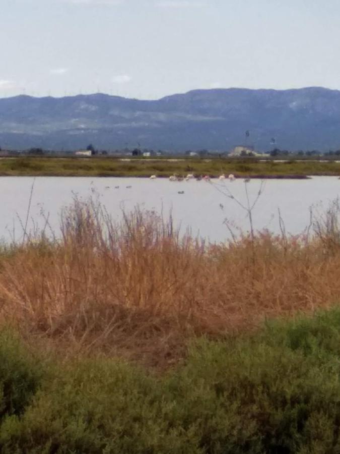 Gelum Delta Del Ebro