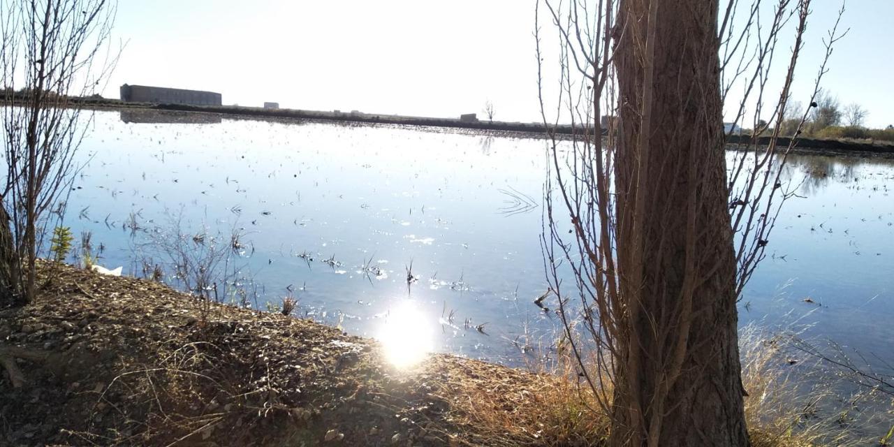 Gelum Delta Del Ebro Apartment *